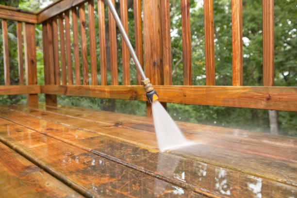 Best Dumpster Area Cleaning  in West Salem, OH